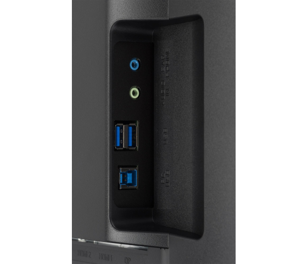 iiyama G-Master GB2488HSU Red Eagle - 285641 - zdjęcie 9